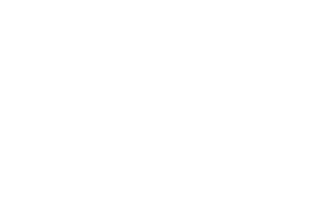 Transportes Vector